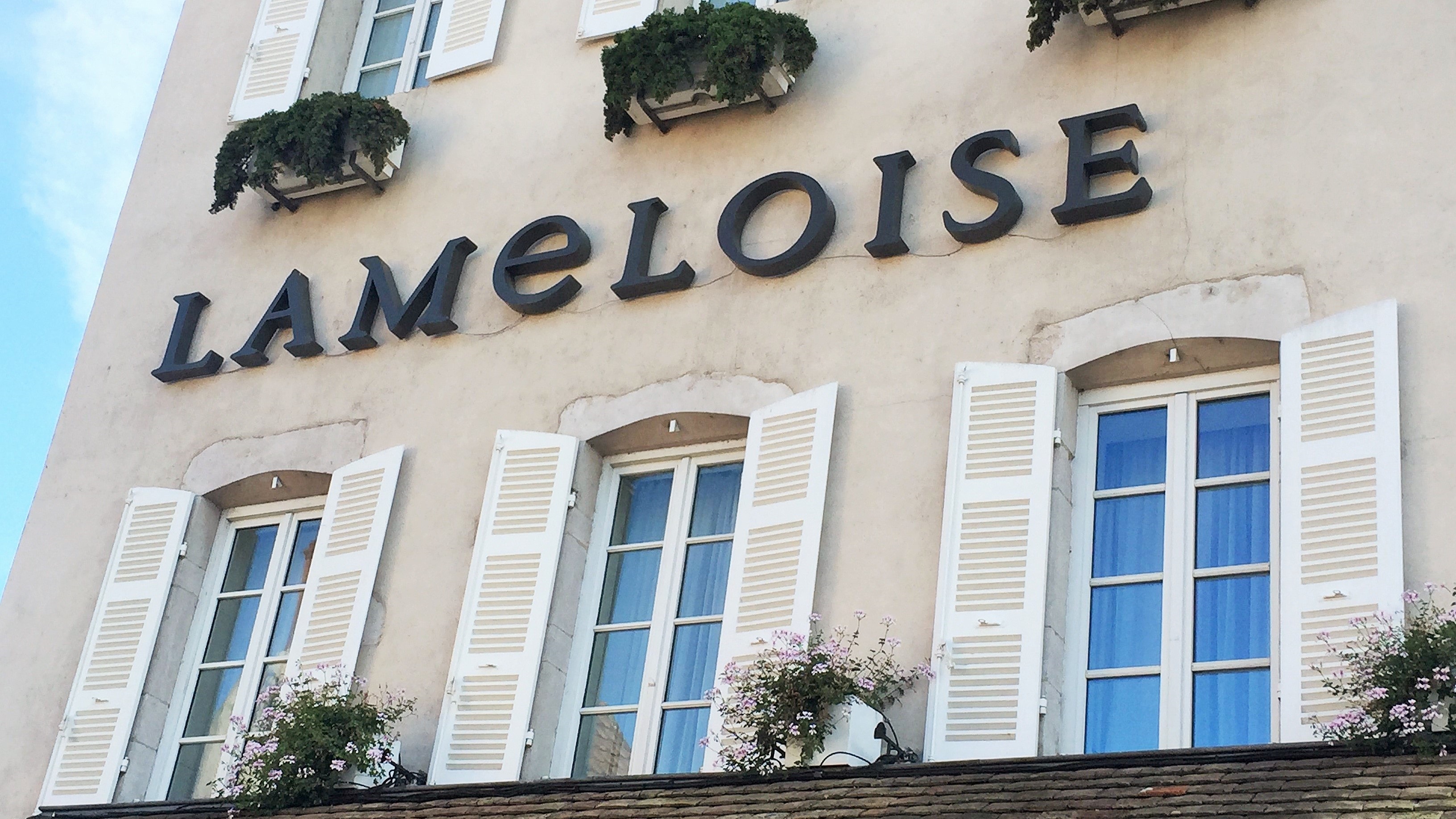 lameloise wine list